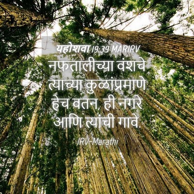 Picture 04 - यहोशवा 19:39 MARIRV - नफतालीच्या वंशचे - Bible Verse Picture