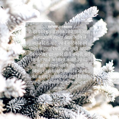 Picture 04 - यहोशवा 22:5 MARIRV - तेव्हा - Bible Verse Picture
