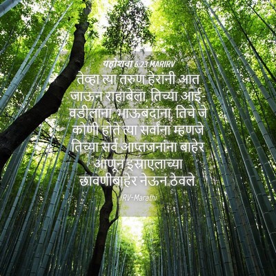 Picture 04 - यहोशवा 6:23 MARIRV - तेव्हा त्या तरुण - Bible Verse Picture