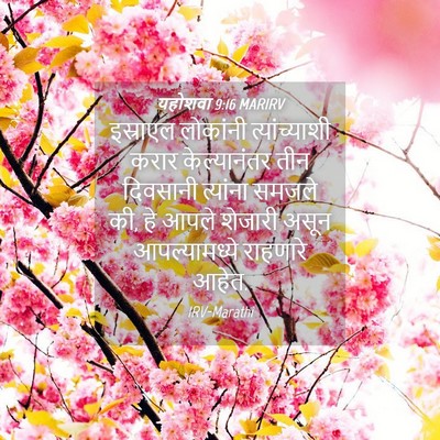 Picture 04 - यहोशवा 9:16 MARIRV - इस्राएल लोकांनी - Bible Verse Picture