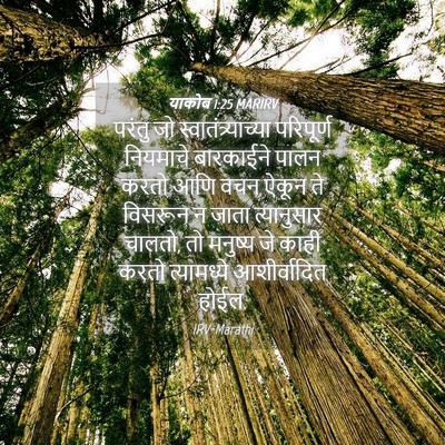 Picture 04 - याकोब 1:25 MARIRV - परंतु जो - Bible Verse Picture