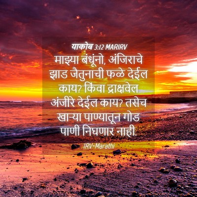Picture 04 - याकोब 3:12 MARIRV - माझ्या बंधूंनो, - Bible Verse Picture