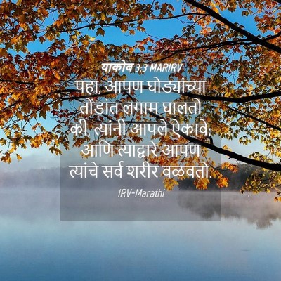 Picture 04 - याकोब 3:3 MARIRV - पहा, आपण - Bible Verse Picture