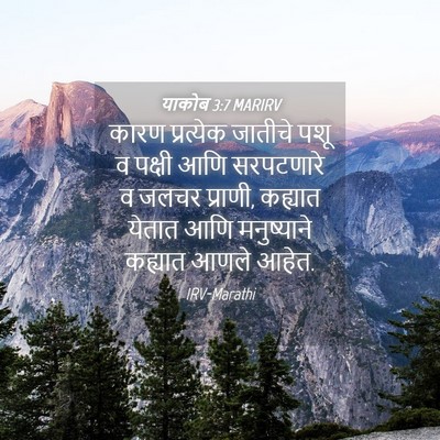 Picture 04 - याकोब 3:7 MARIRV - कारण प्रत्येक - Bible Verse Picture