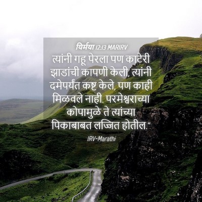 Picture 04 - यिर्मया 12:13 MARIRV - त्यांनी गहू पेरला - Bible Verse Picture