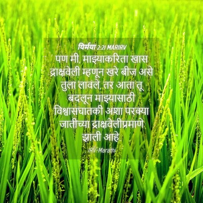 Picture 04 - यिर्मया 2:21 MARIRV - पण मी, माझ्याकरिता - Bible Verse Picture