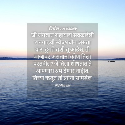 Picture 04 - यिर्मया 2:24 MARIRV - जी जंगलात राहायला - Bible Verse Picture