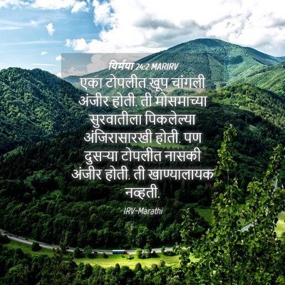 Picture 04 - यिर्मया 24:2 MARIRV - एका टोपलीत खूप - Bible Verse Picture