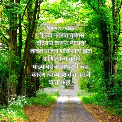 Picture 04 - यिर्मया 29:7 MARIRV - मी ज्या नगरांत - Bible Verse Picture