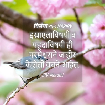 Picture 04 - यिर्मया 30:4 MARIRV - इस्राएलाविषयी व - Bible Verse Picture