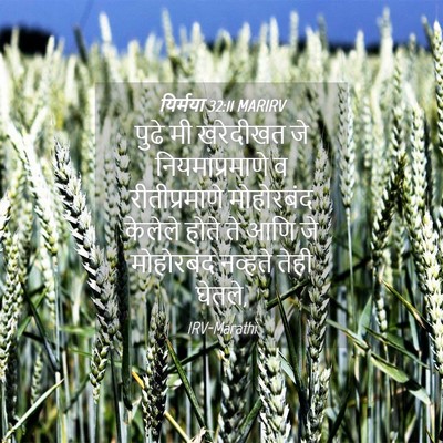 Picture 04 - यिर्मया 32:11 MARIRV - पुढे मी खरेदीखत जे - Bible Verse Picture