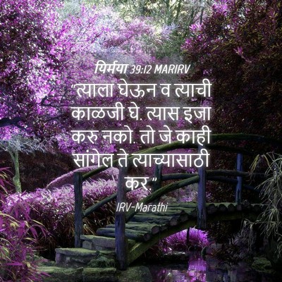 Picture 04 - यिर्मया 39:12 MARIRV - “त्याला घेऊन व - Bible Verse Picture