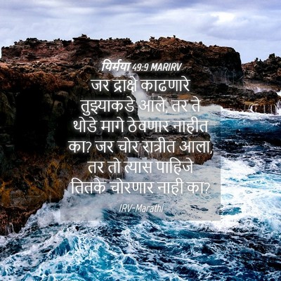 Picture 04 - यिर्मया 49:9 MARIRV - जर द्राक्षे - Bible Verse Picture