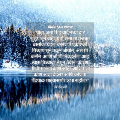 Picture 04 - यिर्मया 50:44 MARIRV - “पाहा, जसा सिंह - Bible Verse Picture