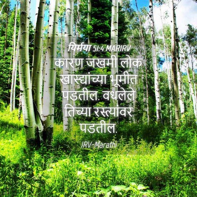 Picture 04 - यिर्मया 51:4 MARIRV - कारण जखमी लोक - Bible Verse Picture