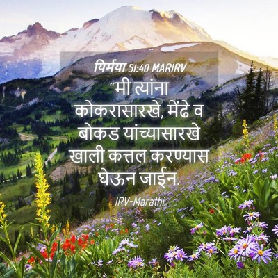 Picture 04 - यिर्मया 51:40 MARIRV - “मी त्यांना - Bible Verse Picture