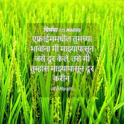 Picture 04 - यिर्मया 7:15 MARIRV - एफ्राईममधील - Bible Verse Picture