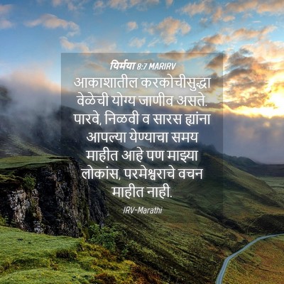 Picture 04 - यिर्मया 8:7 MARIRV - आकाशातील - Bible Verse Picture