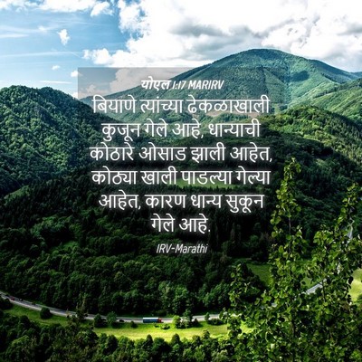 Picture 04 - योएल 1:17 MARIRV - बियाणे त्यांच्या - Bible Verse Picture
