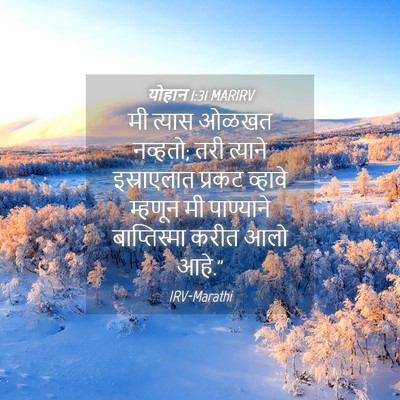 Picture 04 - योहान 1:31 MARIRV - मी त्यास ओळखत - Bible Verse Picture