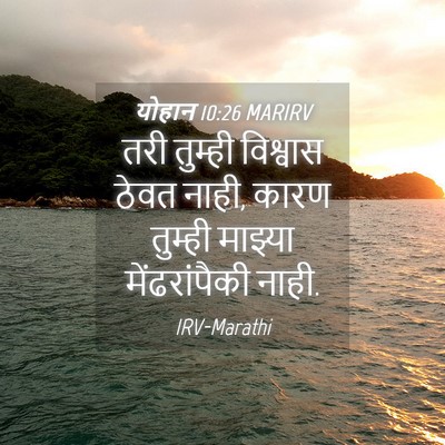 Picture 04 - योहान 10:26 MARIRV - तरी तुम्ही - Bible Verse Picture