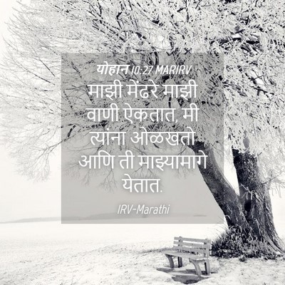 Picture 04 - योहान 10:27 MARIRV - माझी मेंढरे माझी - Bible Verse Picture