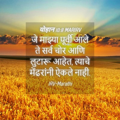 Picture 04 - योहान 10:8 MARIRV - जे माझ्या पूर्वी - Bible Verse Picture