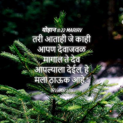 Picture 04 - योहान 11:22 MARIRV - तरी आताही जे काही - Bible Verse Picture