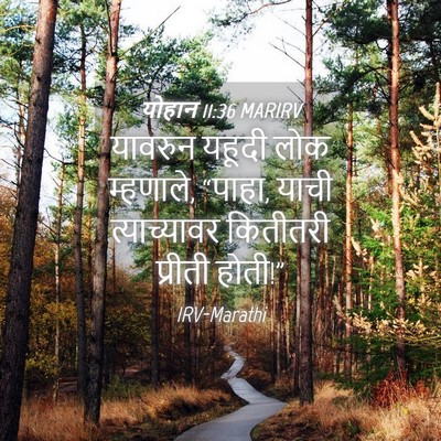 Picture 04 - योहान 11:36 MARIRV - यावरुन यहूदी लोक - Bible Verse Picture