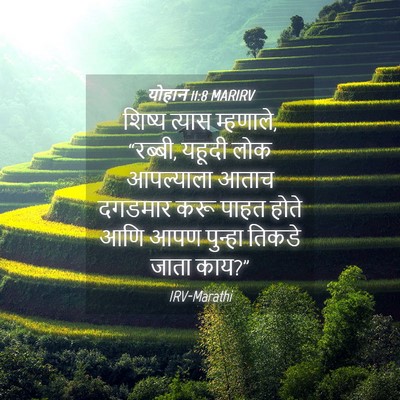 Picture 04 - योहान 11:8 MARIRV - शिष्य त्यास - Bible Verse Picture