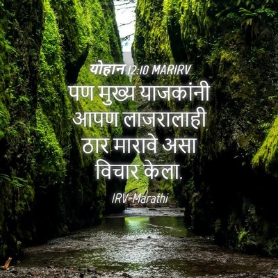 Picture 04 - योहान 12:10 MARIRV - पण मुख्य याजकांनी - Bible Verse Picture