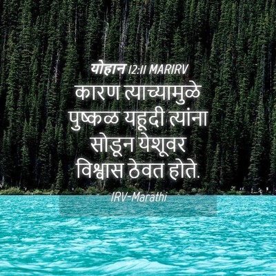 Picture 04 - योहान 12:11 MARIRV - कारण त्याच्यामुळे - Bible Verse Picture