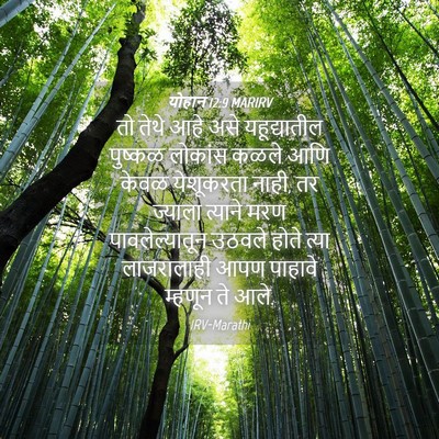 Picture 04 - योहान 12:9 MARIRV - तो तेथे आहे असे - Bible Verse Picture