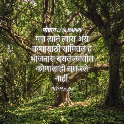 Picture 04 - योहान 13:28 MARIRV - पण त्याने त्यास - Bible Verse Picture