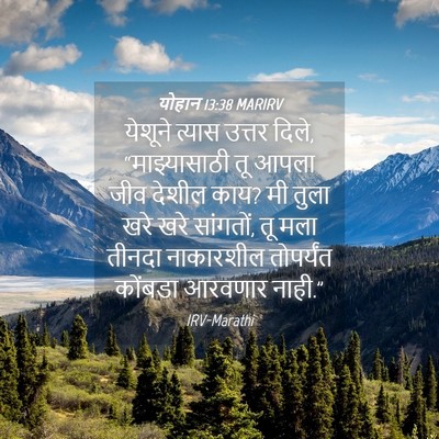 Picture 04 - योहान 13:38 MARIRV - येशूने त्यास - Bible Verse Picture