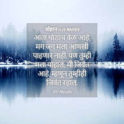 Picture 04 - योहान 14:19 MARIRV - आता थोडाच वेळ आहे, - Bible Verse Picture