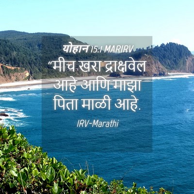 Picture 04 - योहान 15:1 MARIRV - “मीच खरा - Bible Verse Picture