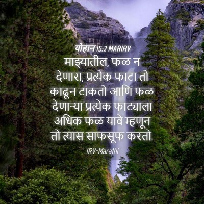 Picture 04 - योहान 15:2 MARIRV - माझ्यातील, फळ न - Bible Verse Picture