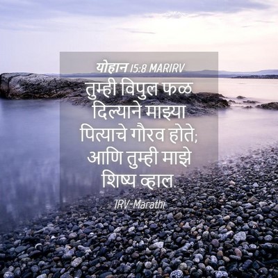 Picture 04 - योहान 15:8 MARIRV - तुम्ही विपुल फळ - Bible Verse Picture