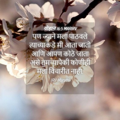 Picture 04 - योहान 16:5 MARIRV - पण ज्याने मला - Bible Verse Picture
