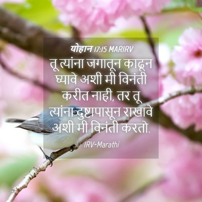 Picture 04 - योहान 17:15 MARIRV - तू त्यांना जगातून - Bible Verse Picture