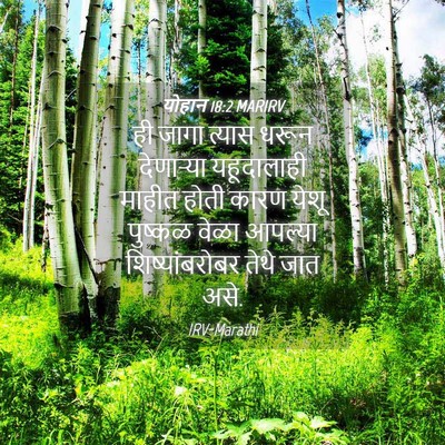 Picture 04 - योहान 18:2 MARIRV - ही जागा त्यास धरून - Bible Verse Picture