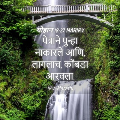 Picture 04 - योहान 18:27 MARIRV - पेत्राने पुन्हा - Bible Verse Picture