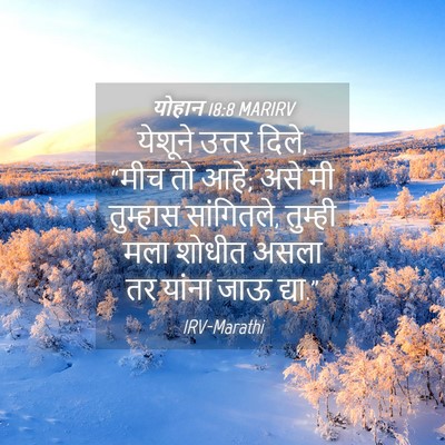 Picture 04 - योहान 18:8 MARIRV - येशूने उत्तर दिले, - Bible Verse Picture