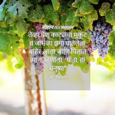 Picture 04 - योहान 19:5 MARIRV - तेव्हा येशू - Bible Verse Picture