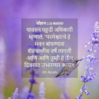 Picture 04 - योहान 2:20 MARIRV - यावरुन यहूदी - Bible Verse Picture