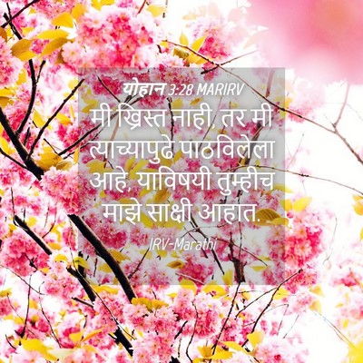 Picture 04 - योहान 3:28 MARIRV - मी ख्रिस्त नाही, तर - Bible Verse Picture