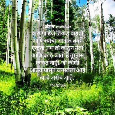 Picture 04 - योहान 3:8 MARIRV - वारा पाहिजे तिकडे - Bible Verse Picture