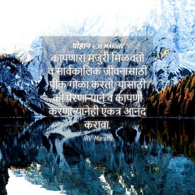 Picture 04 - योहान 4:36 MARIRV - कापणारा मजुरी - Bible Verse Picture