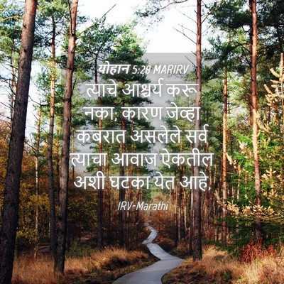 Picture 04 - योहान 5:28 MARIRV - त्याचे आश्चर्य - Bible Verse Picture